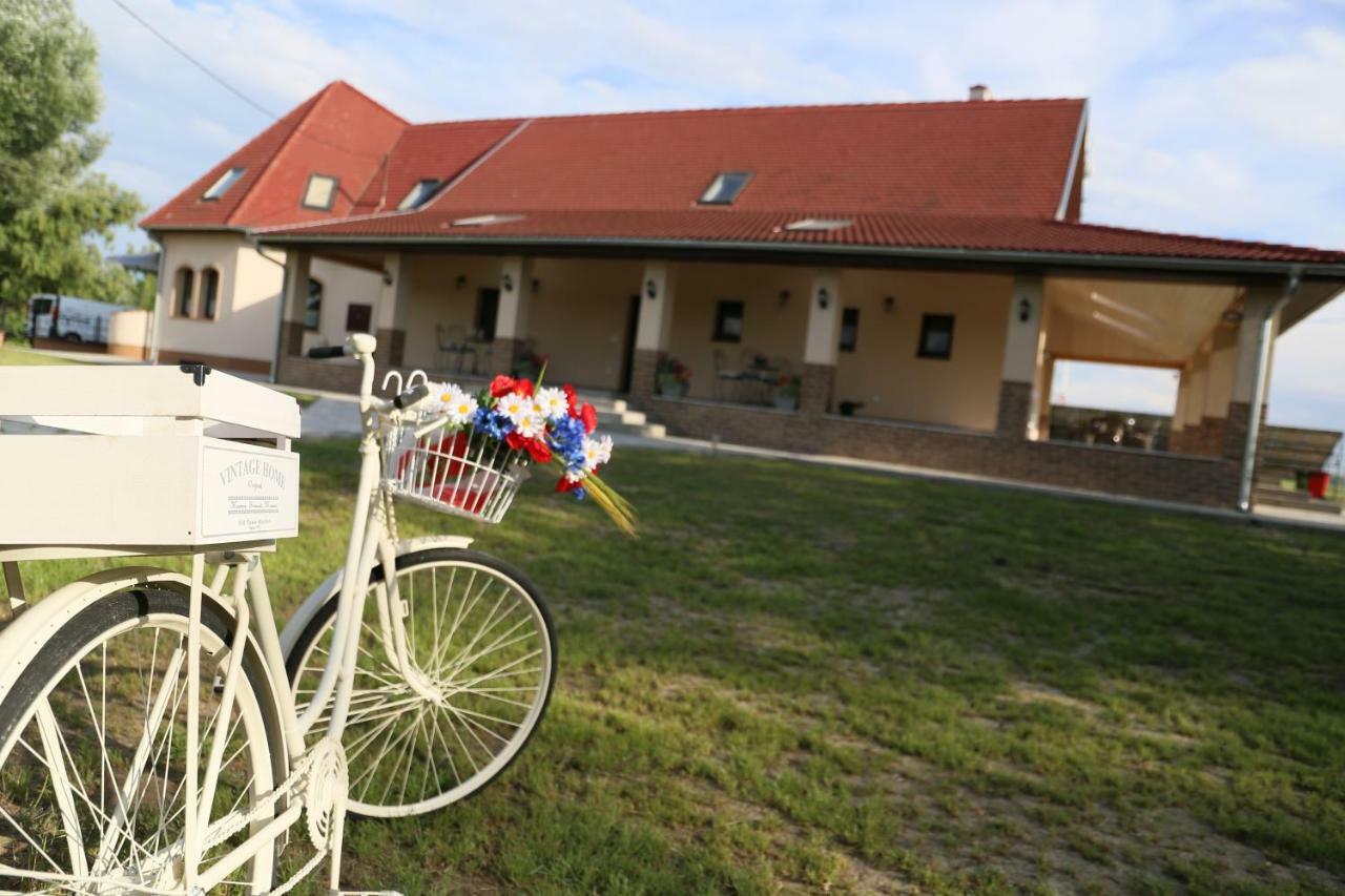 Tiszavilag Pihenohaz Hotell Tiszakécske Exteriör bild